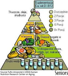 piramida z opisaną dietą